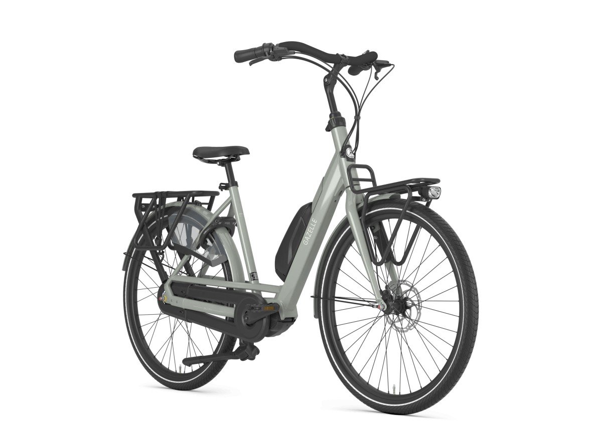 Bloom C310