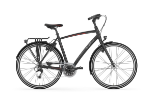 Stadsfiets Gazelle Chamonix S30 | De Tweewieler